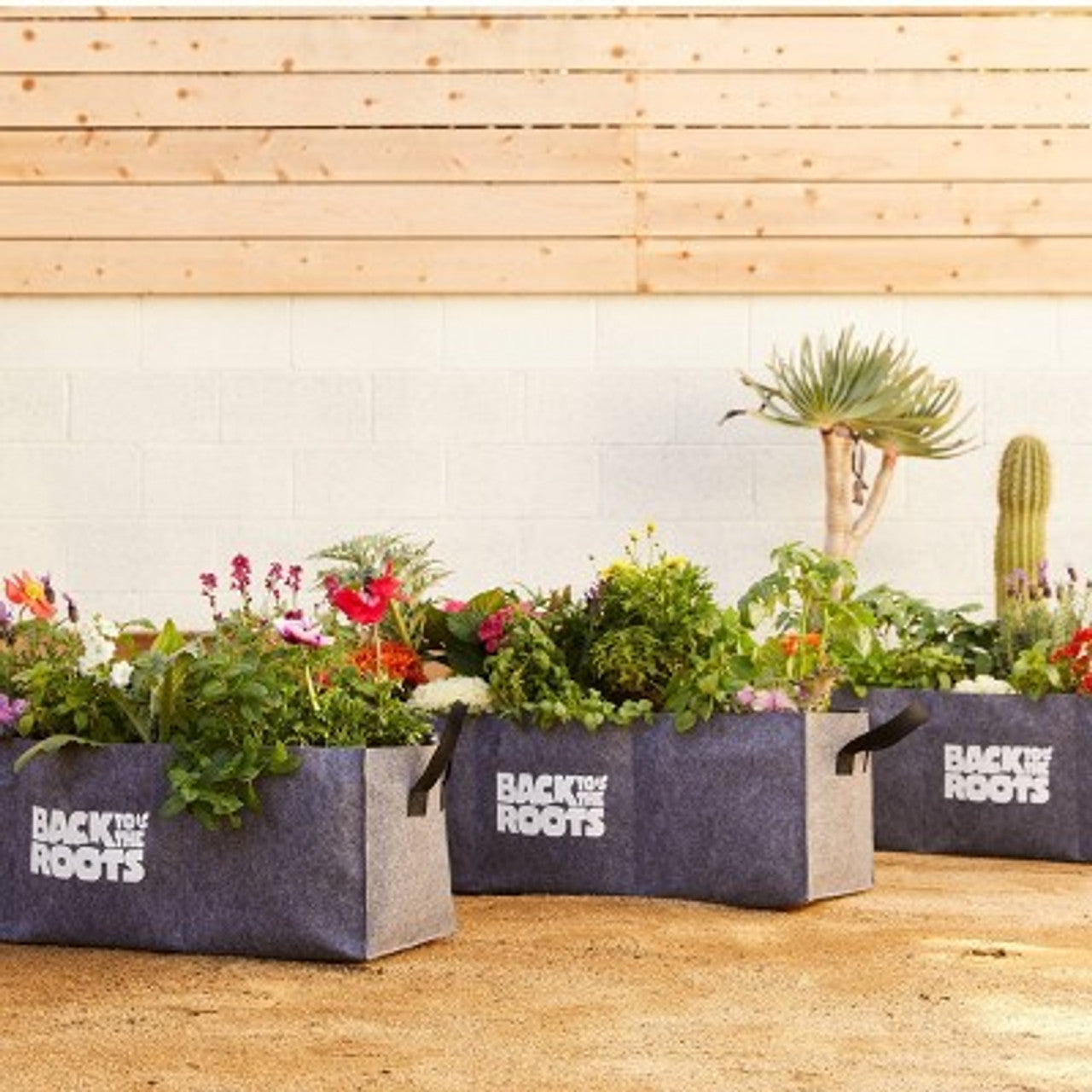 Open Box Back to the Roots Organic Raised Bed Gardening Kit with Soil, Seeds, and Plant Food