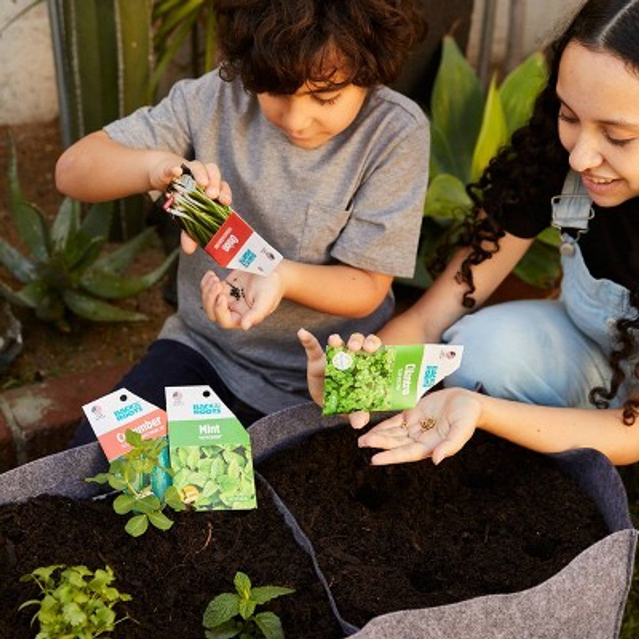 Open Box Back to the Roots Organic Raised Bed Gardening Kit with Soil, Seeds, and Plant Food